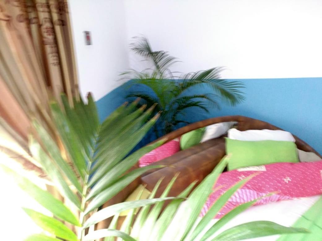 Elizz Guest House Janman Bagian luar foto